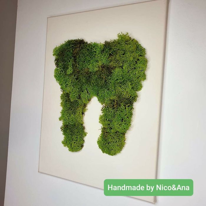 Vând aranjamente,tablouri si ceasuri cu lichieni stabilizați