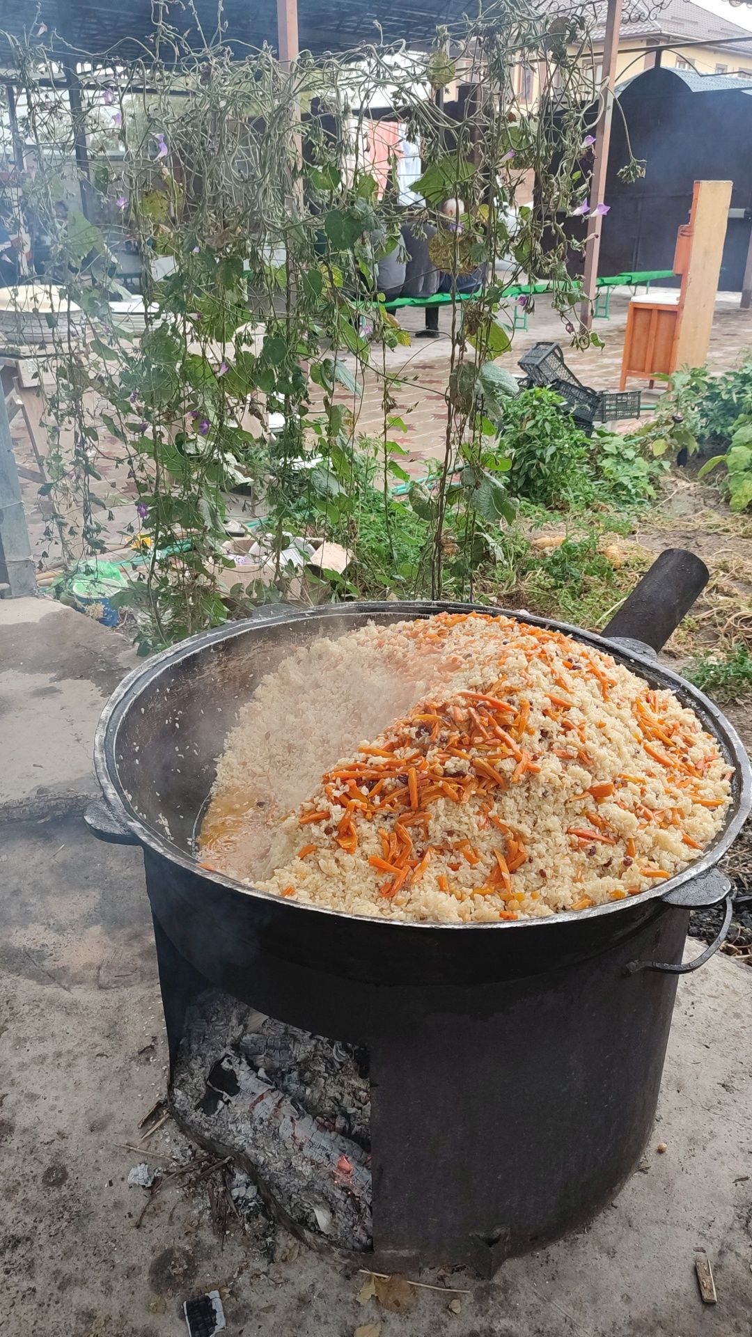 Плов Ташкентский все виды плова