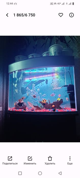 Продам аквариум с рыбками.