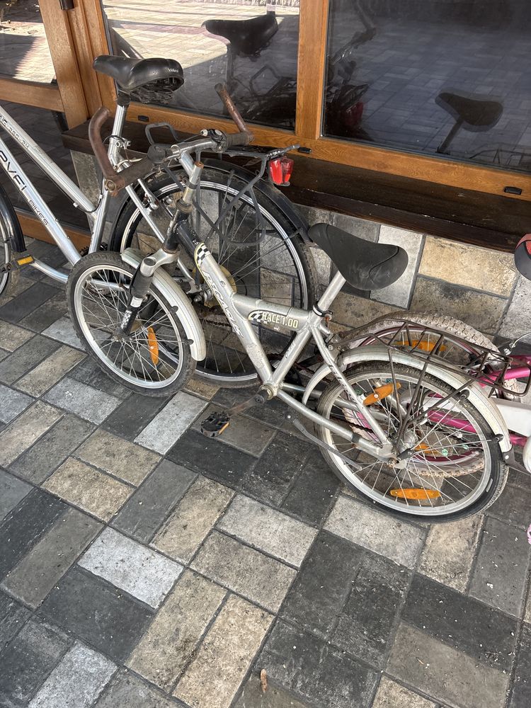 Biciclete copii si tandem