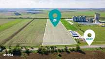 Teren de 104000 mp în Vinga