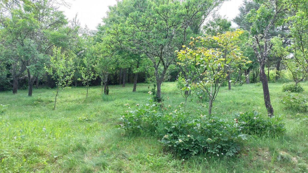 Продава се Къща в с. Егълница, Област Перник - 19 кв.м за 1053 €/кв.м - Снимка #12