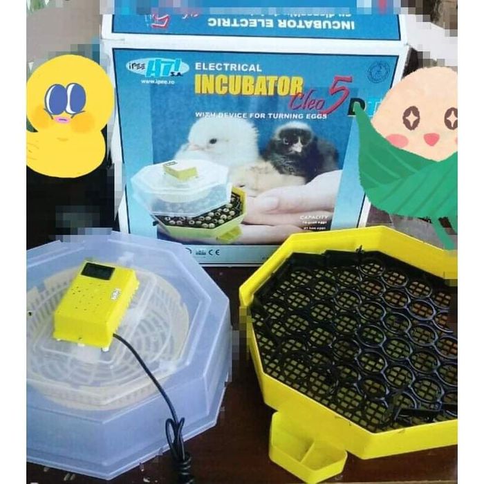 Инкубатори автоматични полуавтоматични ръчни с влагомер ваничка темпер