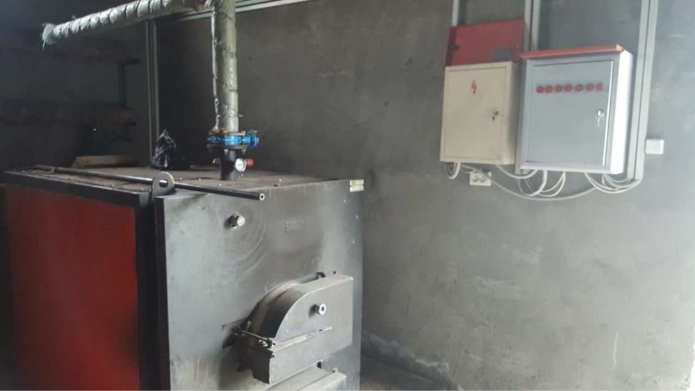 Арендага парник бор