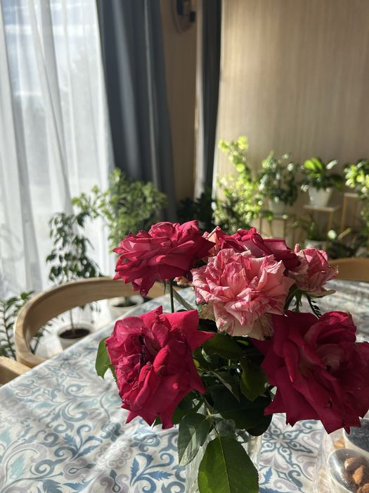 Продаем дом в экологический чистом районе.