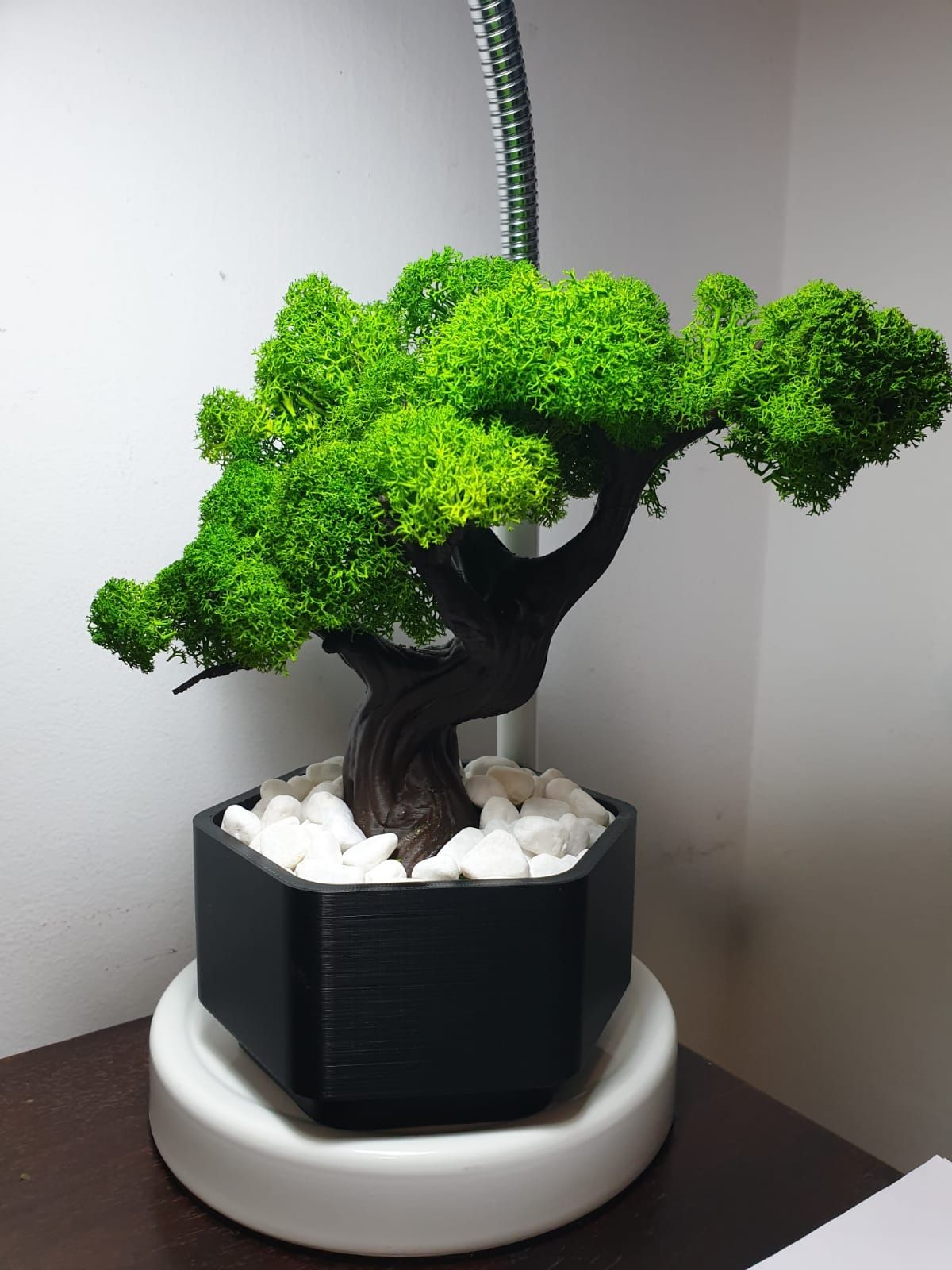 Copac/ bonsai printat 3D