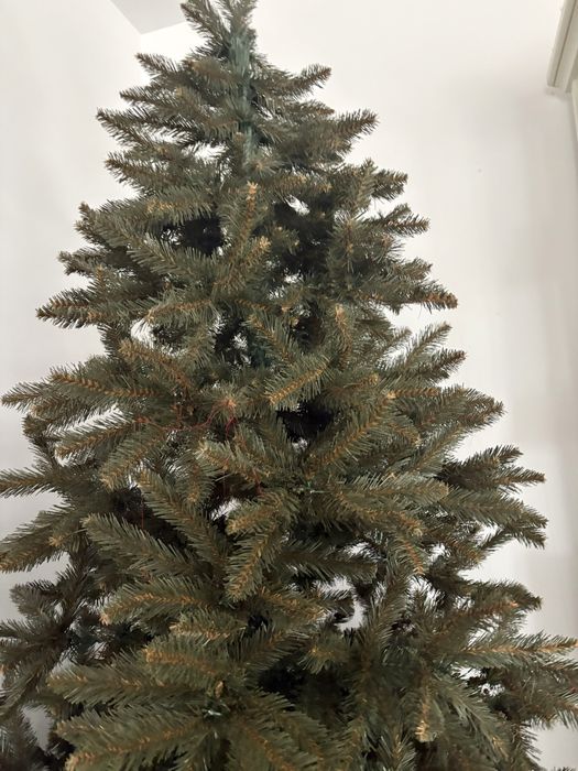 Brad artificial superb, stare ecepțională