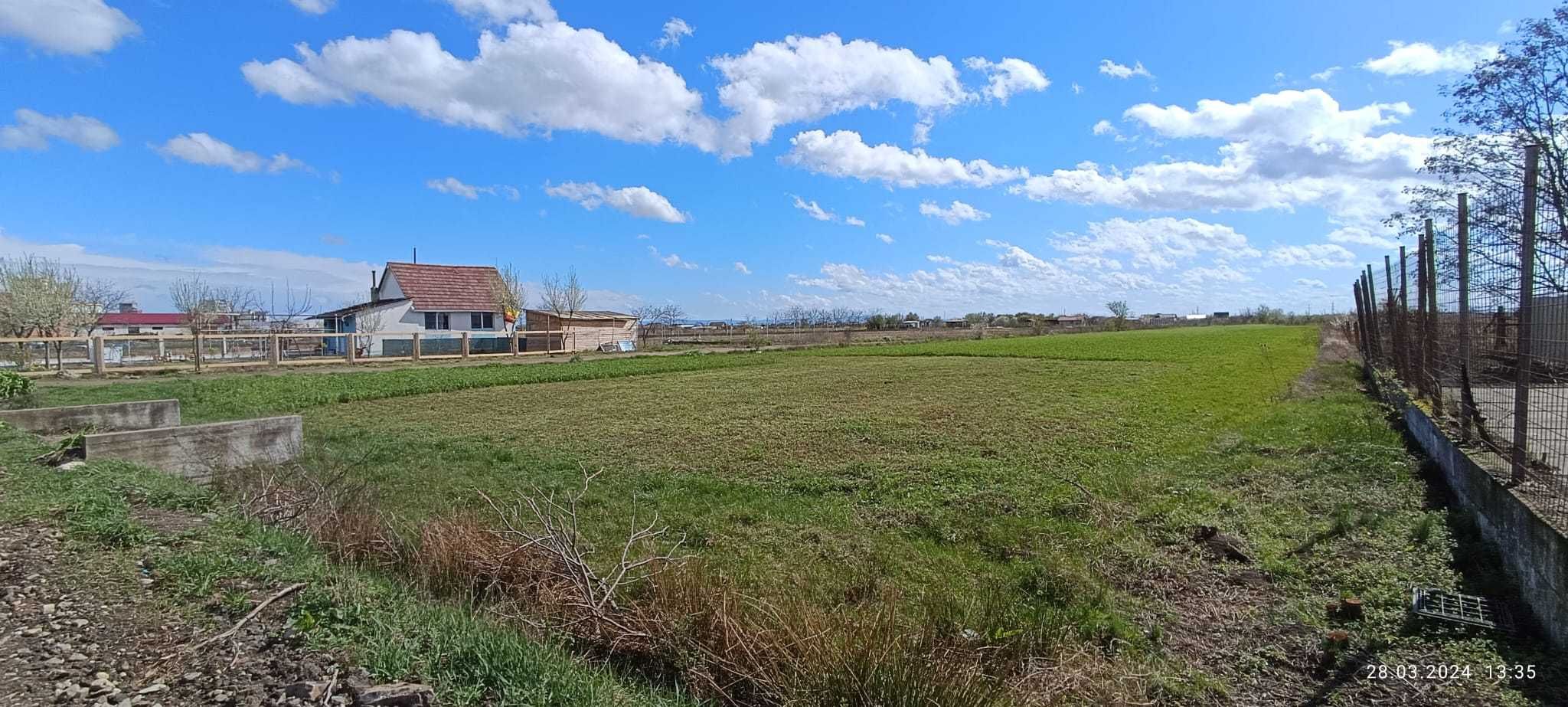 Teren de vânzare in Satu Mare, 17.000mp