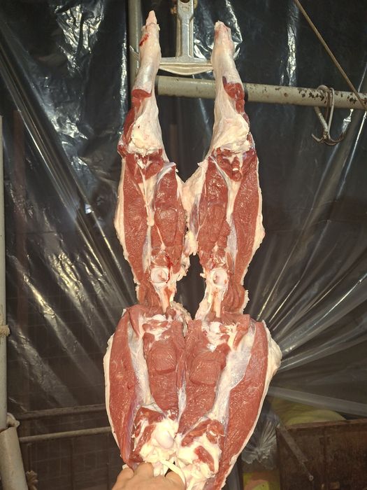 Qassob service  Кассоб хизмати Qassob xizmati