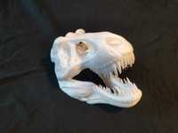 Craniu detaliat de Dinozaur Tyrannosaurus-Rex 3D-printed