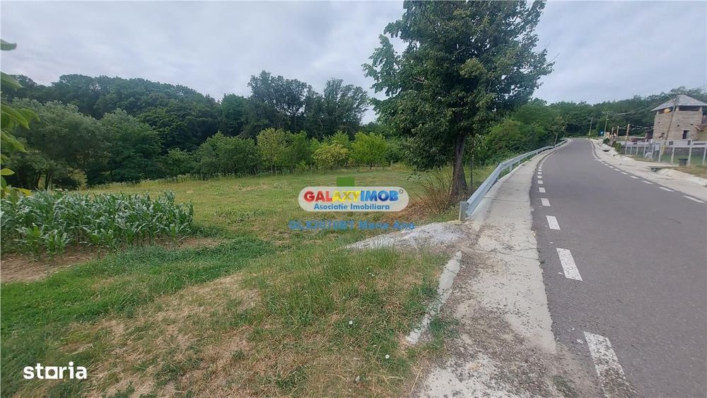 Teren intravilan 1734 mp. Ipotesti langa padure si lac!