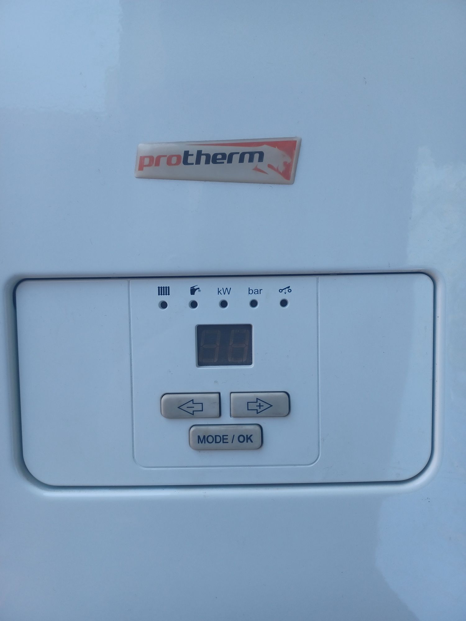 Centrala termica Electrica Protherm  Ray 6