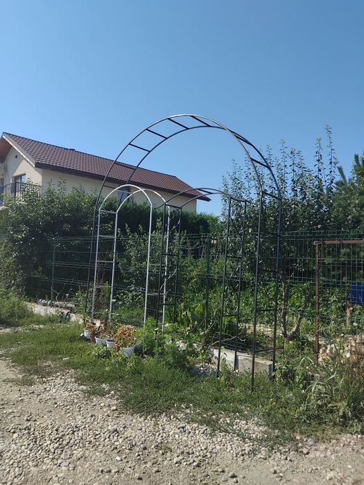 Arcade și pergole de trandafiri si evenimente