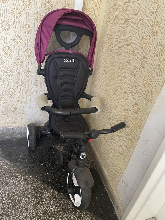 Tricileta Coccolle Spectra Mov