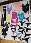 Lenjerie , bikini , costume de baie , ciorapi , dresuri