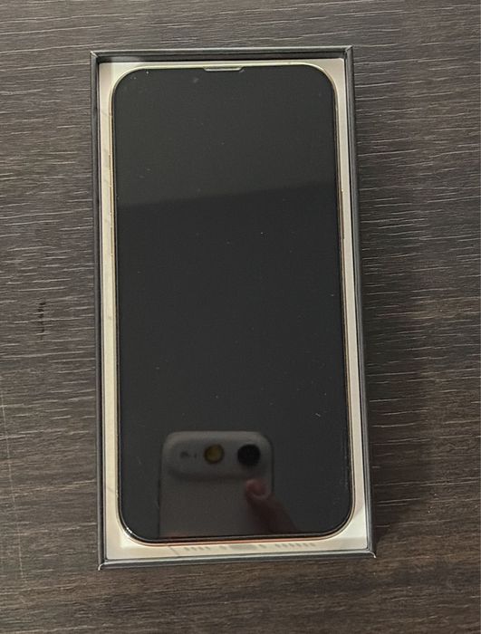 iPhone 13 pro max gold