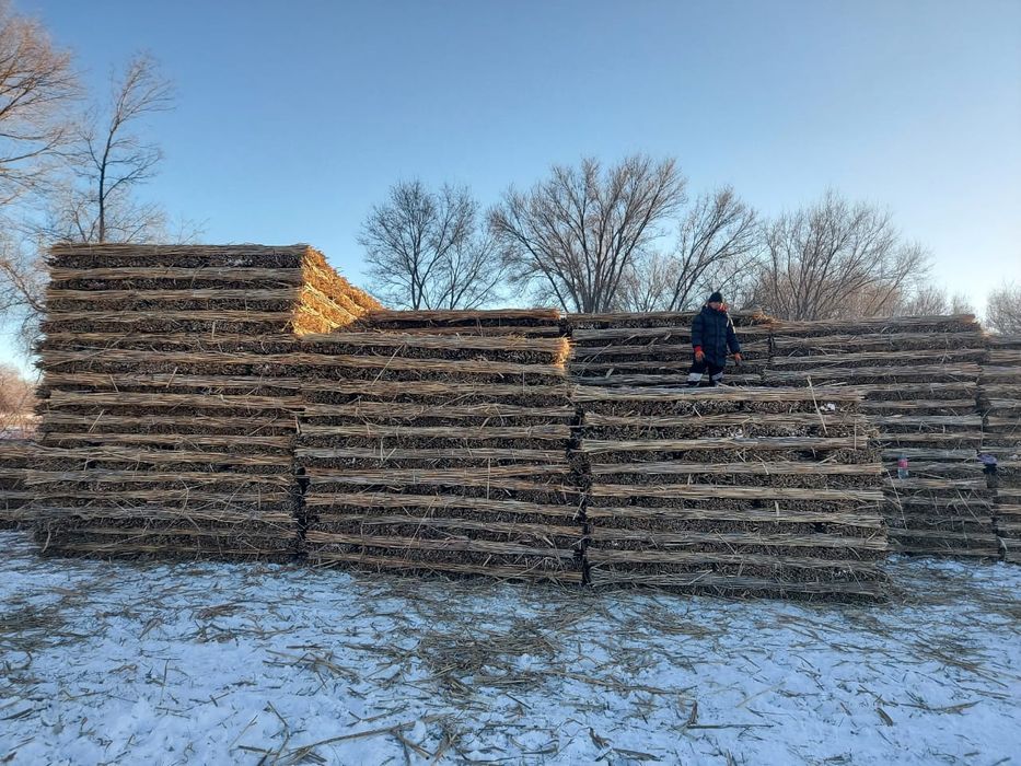 Камышовые маты 1200 тенге самовывоз
Камышовые маты