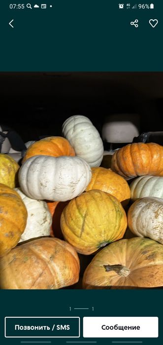 Продам тыкву домашнюю