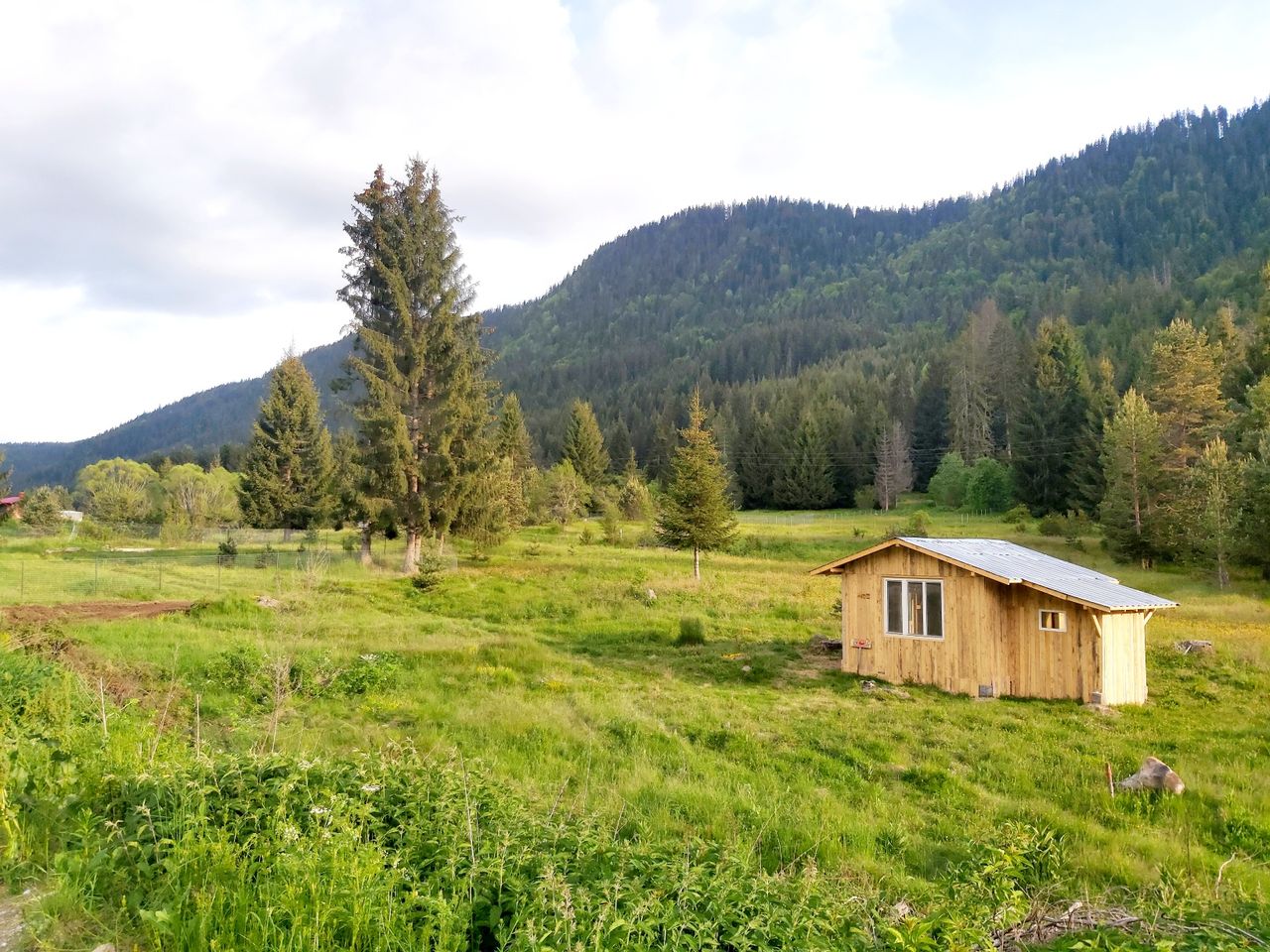 Продава се Парцел в Сърница - 2683 кв.м за 31 €/кв.м - Снимка #3