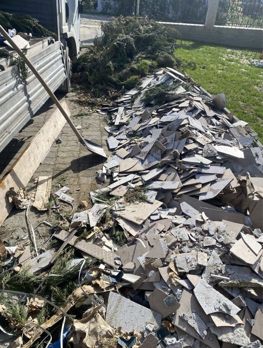 Servicii : transport moloz , debarasari , golili , defrisari vegetale