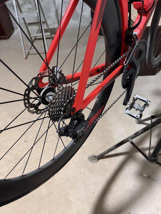 Cursiera Giant Propel Advanced