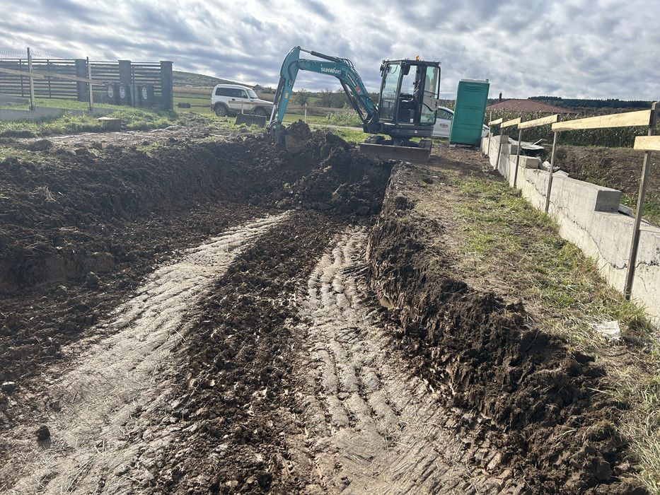 Excavator 3.8 de inchiriat