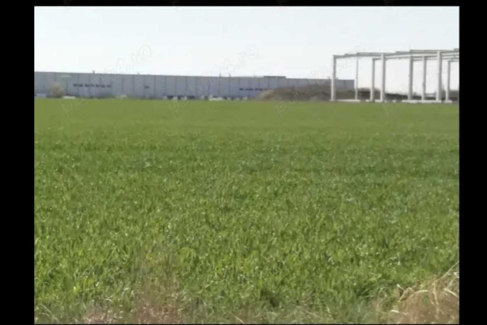 Vând terenuri industriale