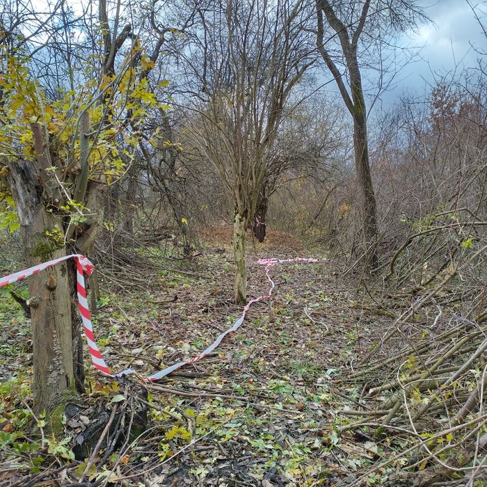 Tocător crengi, debitare busteni cosire/ defrisare/ curatare teren