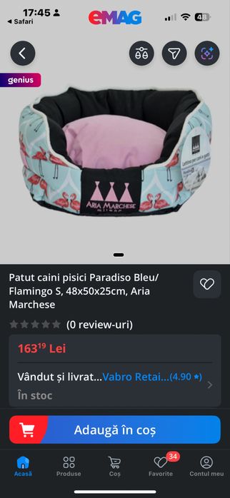 Patut caine sau pisica