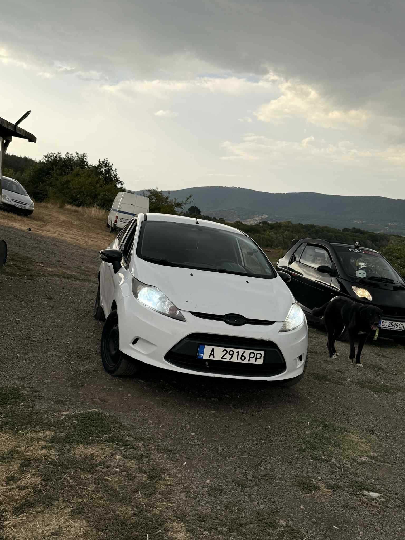 Ford Fiesta 2010