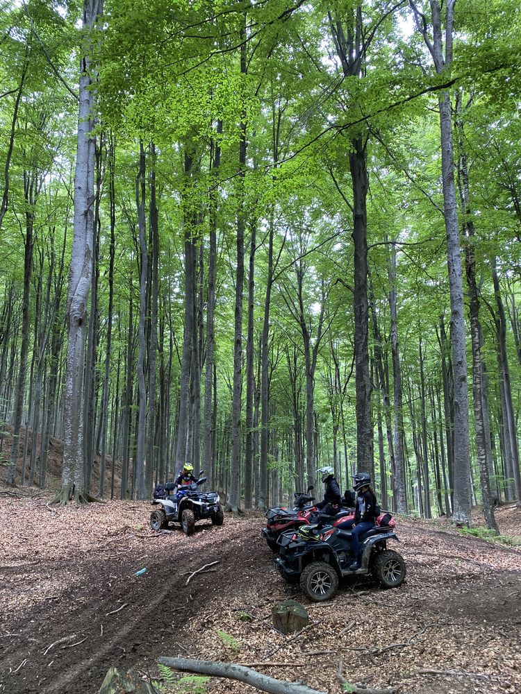 Inchirieri ATV Doftana Comarnic Campina Nistoresti   / ATV & moto rent