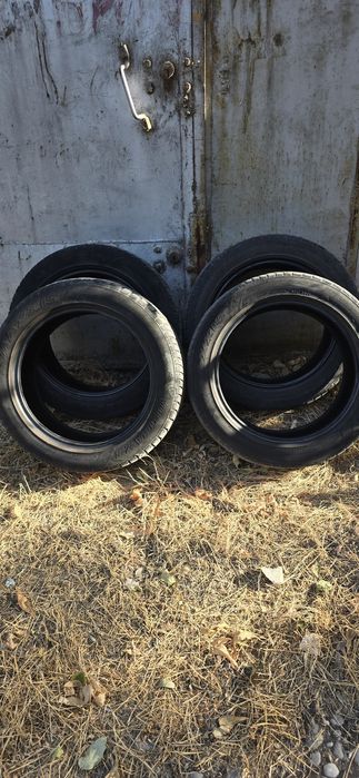 Шины MAXXIS Victra Z3