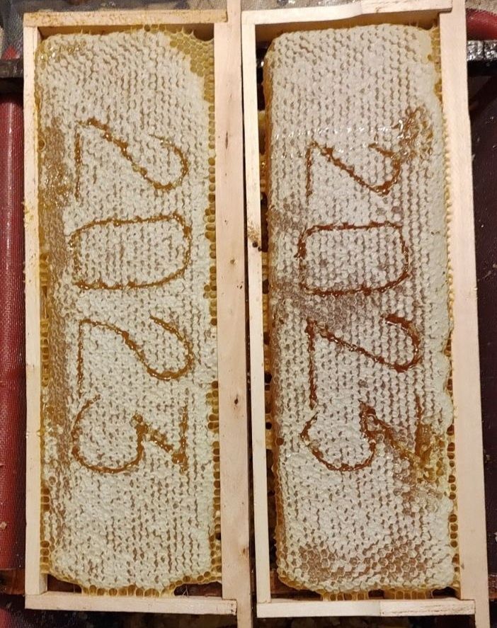 Натурален пчелен мед - букет 2023г.