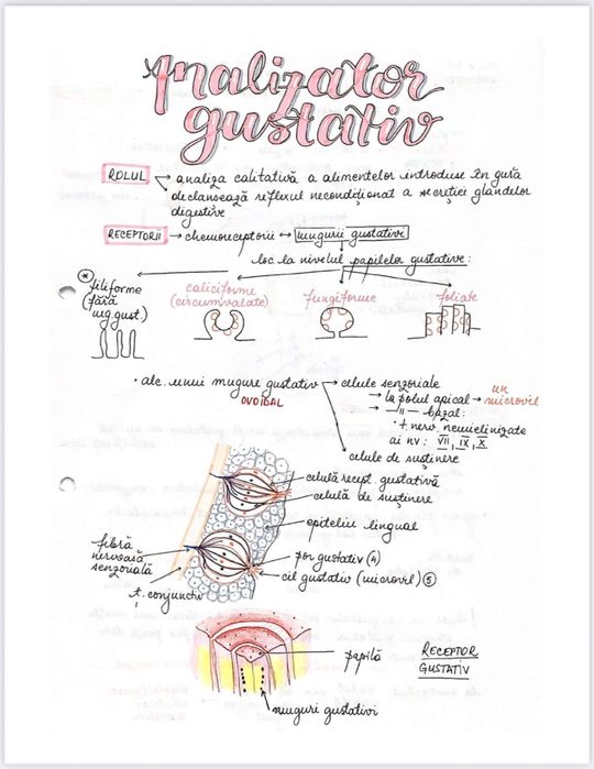 Notițe admitere medicină - biologie