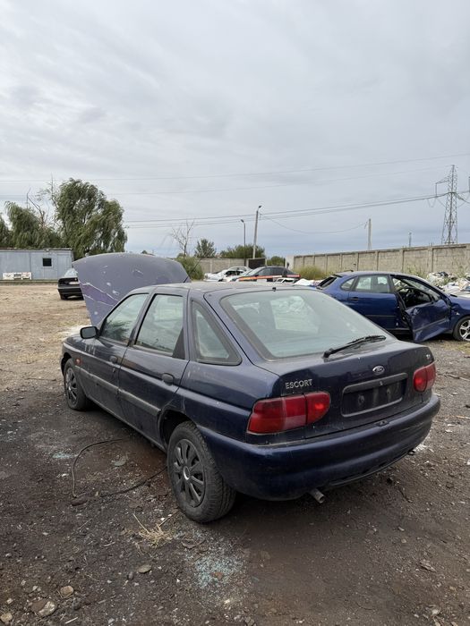 Colectăm rable auto la cel mai bun pret!