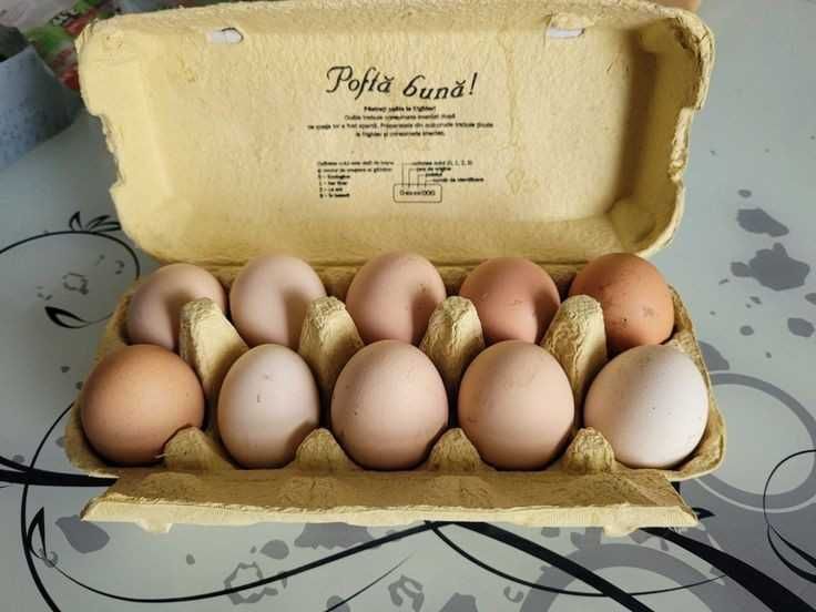 Oua gaina de tara
