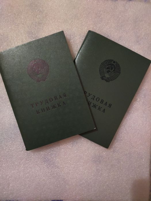 "Трудовые- книжки".