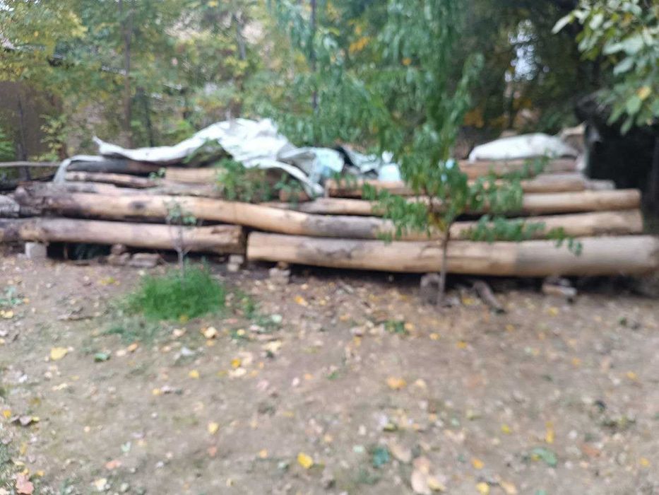 Терак -> Брёвна продается для стройки