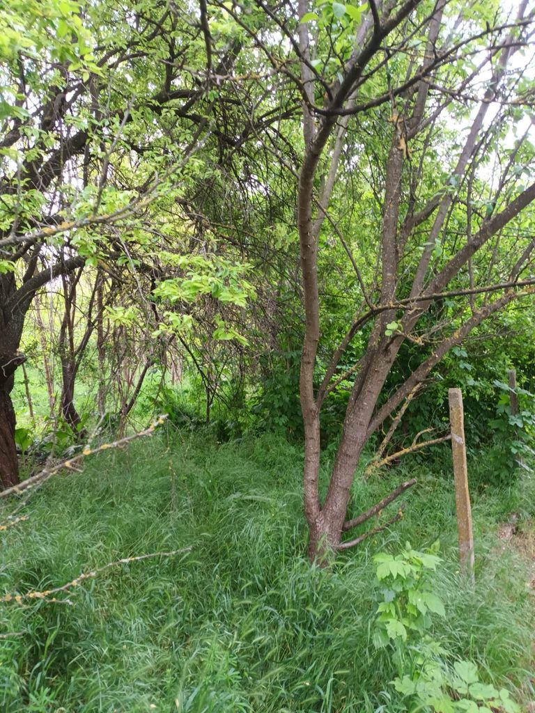 Продава се Къща в Бургас, Лазур - 75 кв.м за 72 €/кв.м - Снимка #11