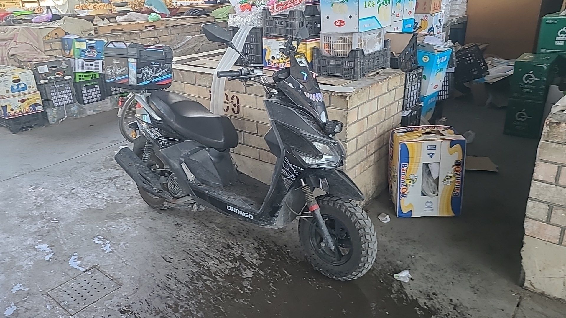 Sukuter samuray 2025 yil yangi