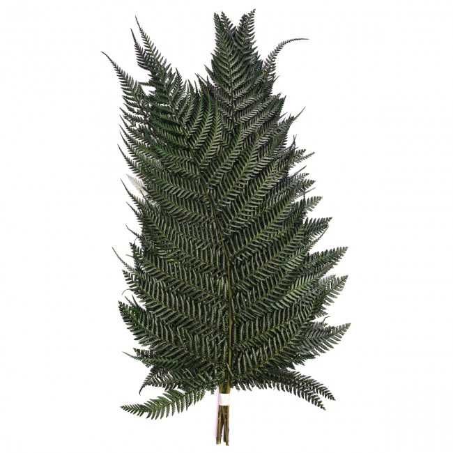 Plante stabilizate decorative. Amaranthus, Eucalipt, Feriga