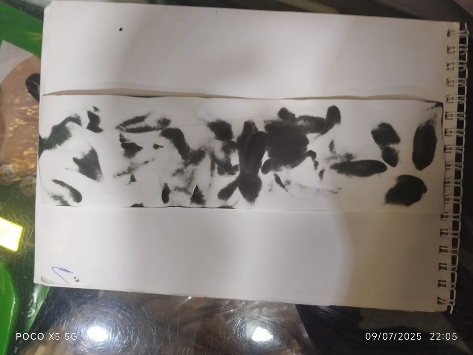 Sotiladi Surat dunyoda 1 da keilshb bermiz