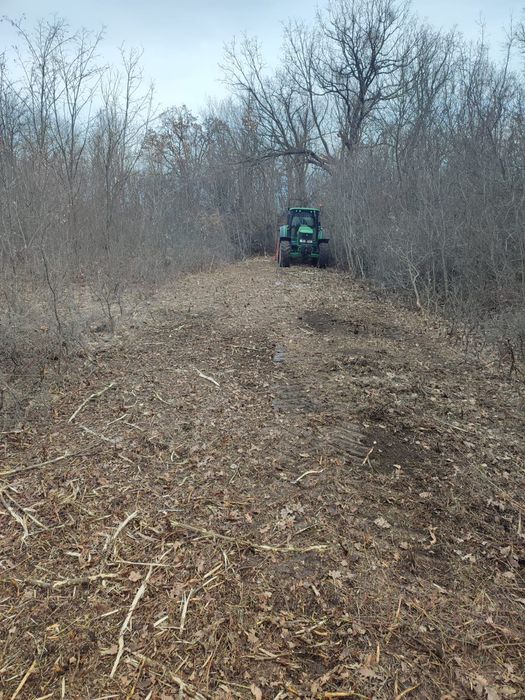 Prestări servicii defrisat