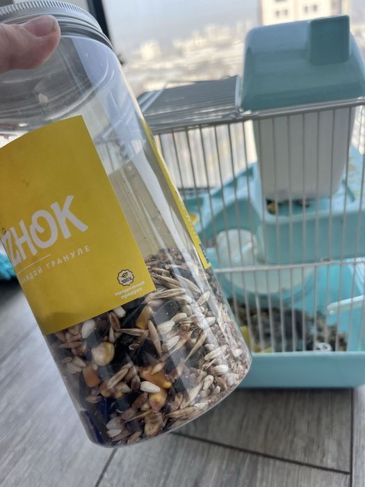 хомяк джунгарикк