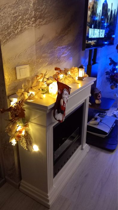 Semineu bioetanol NOU