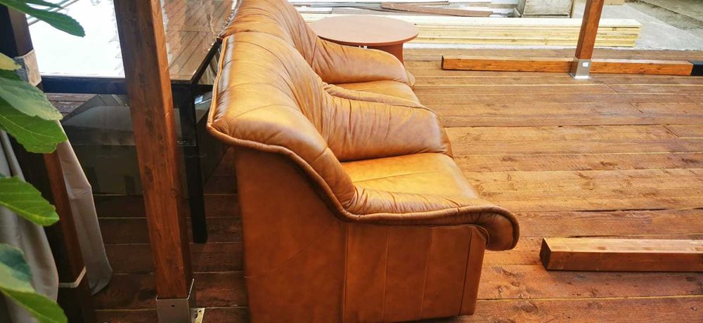 Set doua fotolii piele naturala