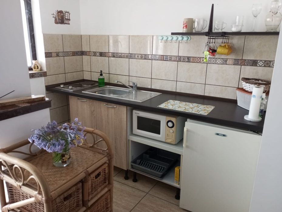 Cazare regim hotelier,garsoniera,apartament,2 km Centua Buziasului