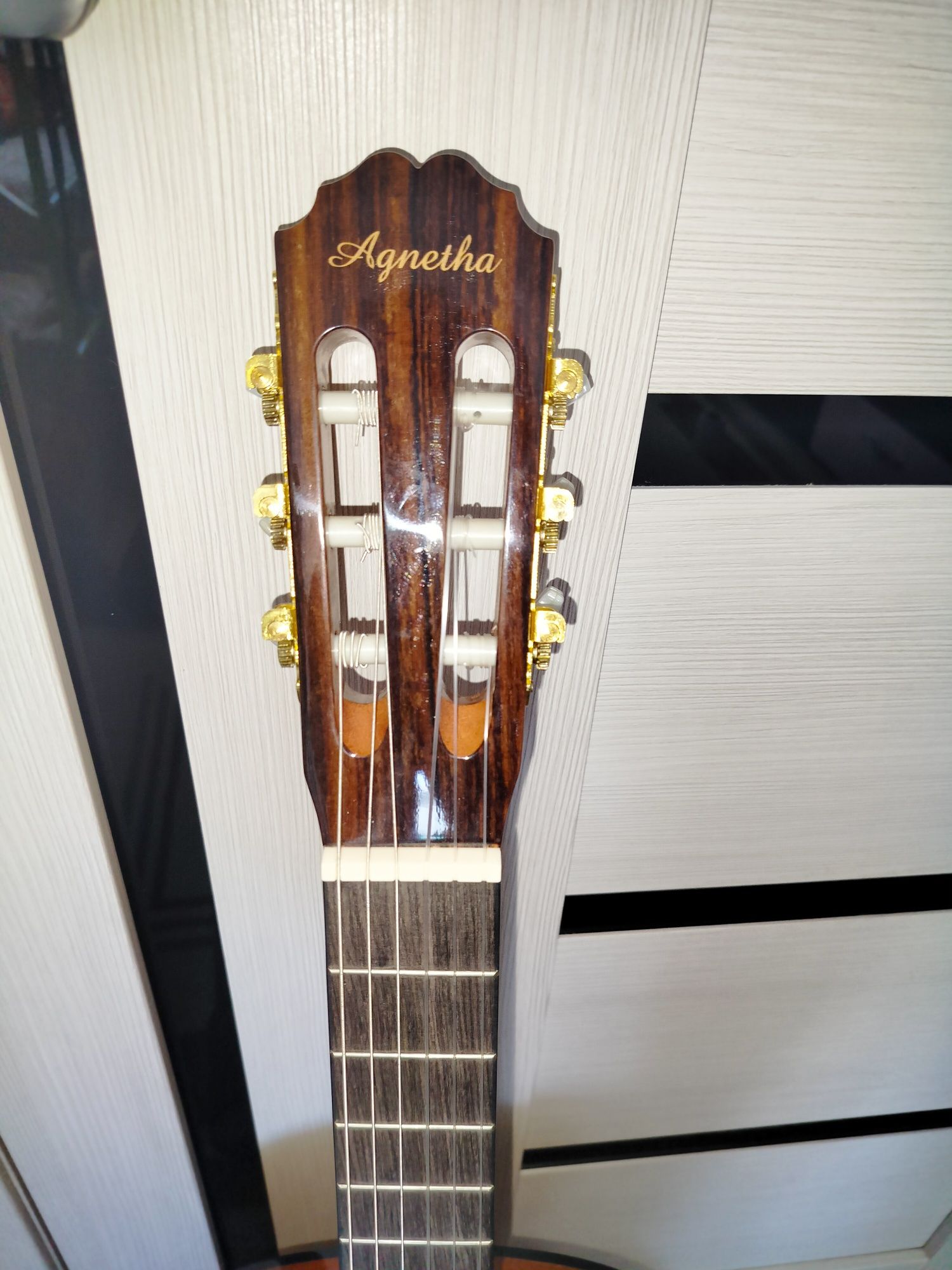 Продается гитара Agnetha (Handmade Guitar) Model: ACG-E150Новая