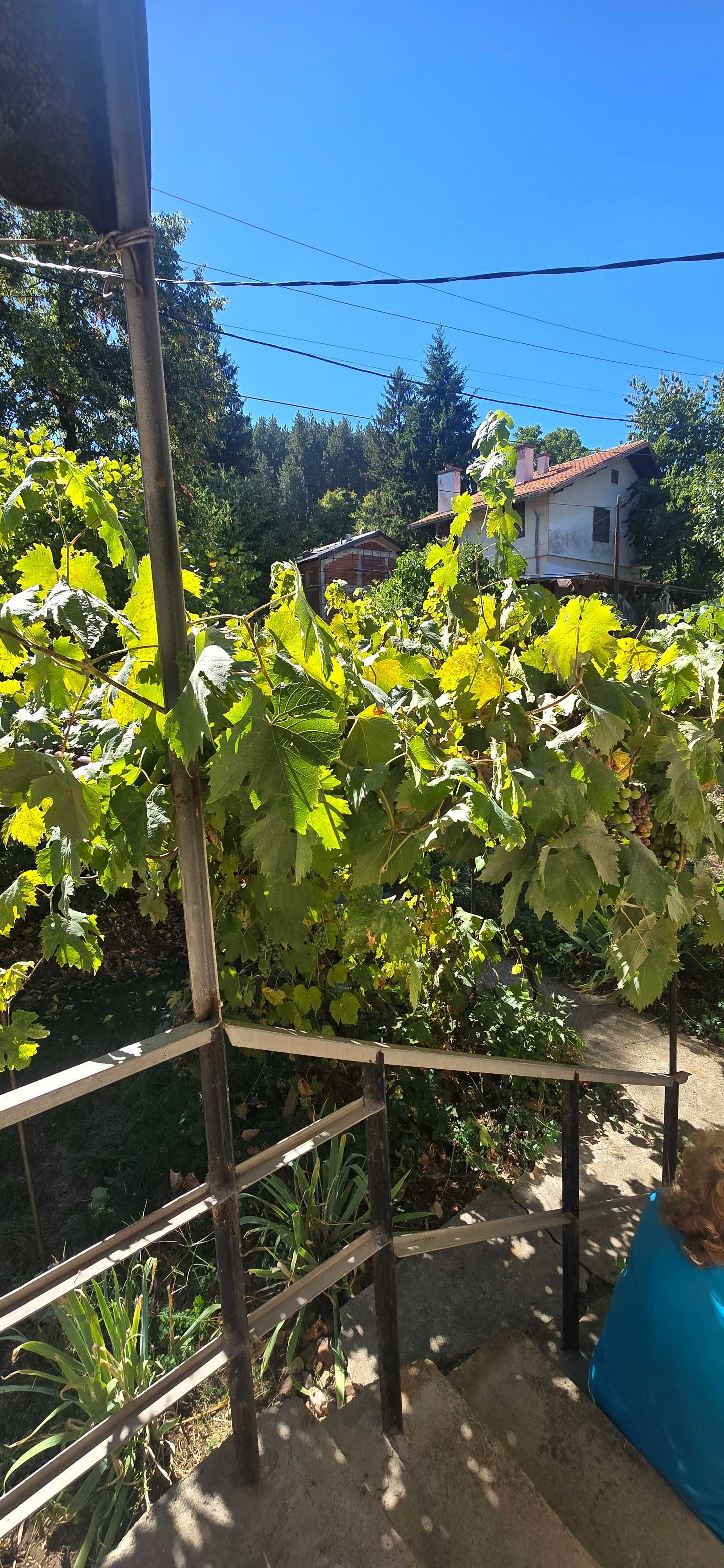 Продавам къща в с.Студена, обл.Перник