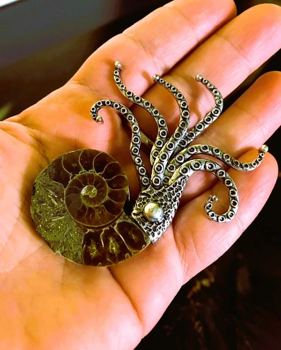 Brosa Amoniti Phyllocers Fossil Fosile